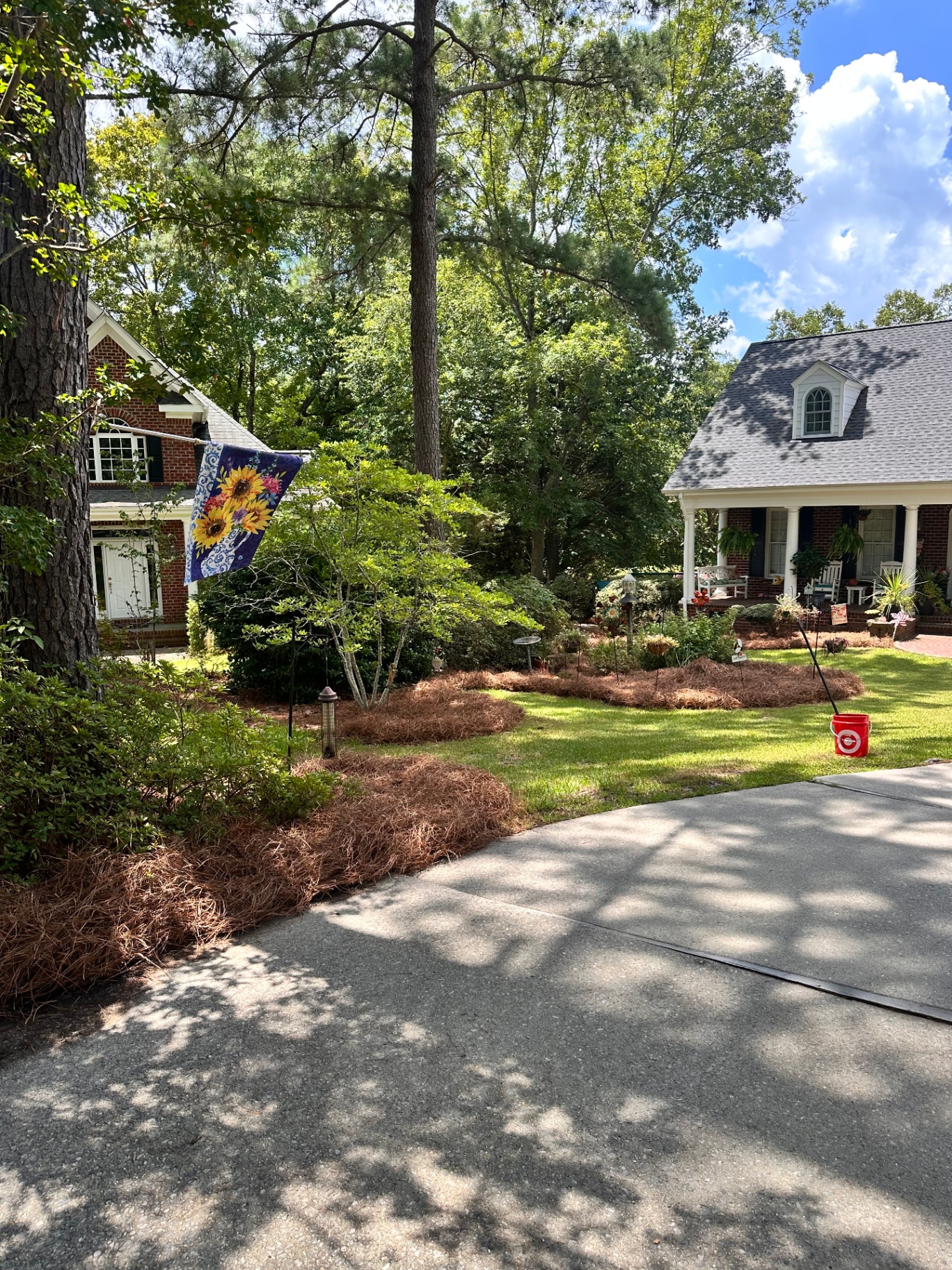 Landscaped front yard with pine straw and shrubs
